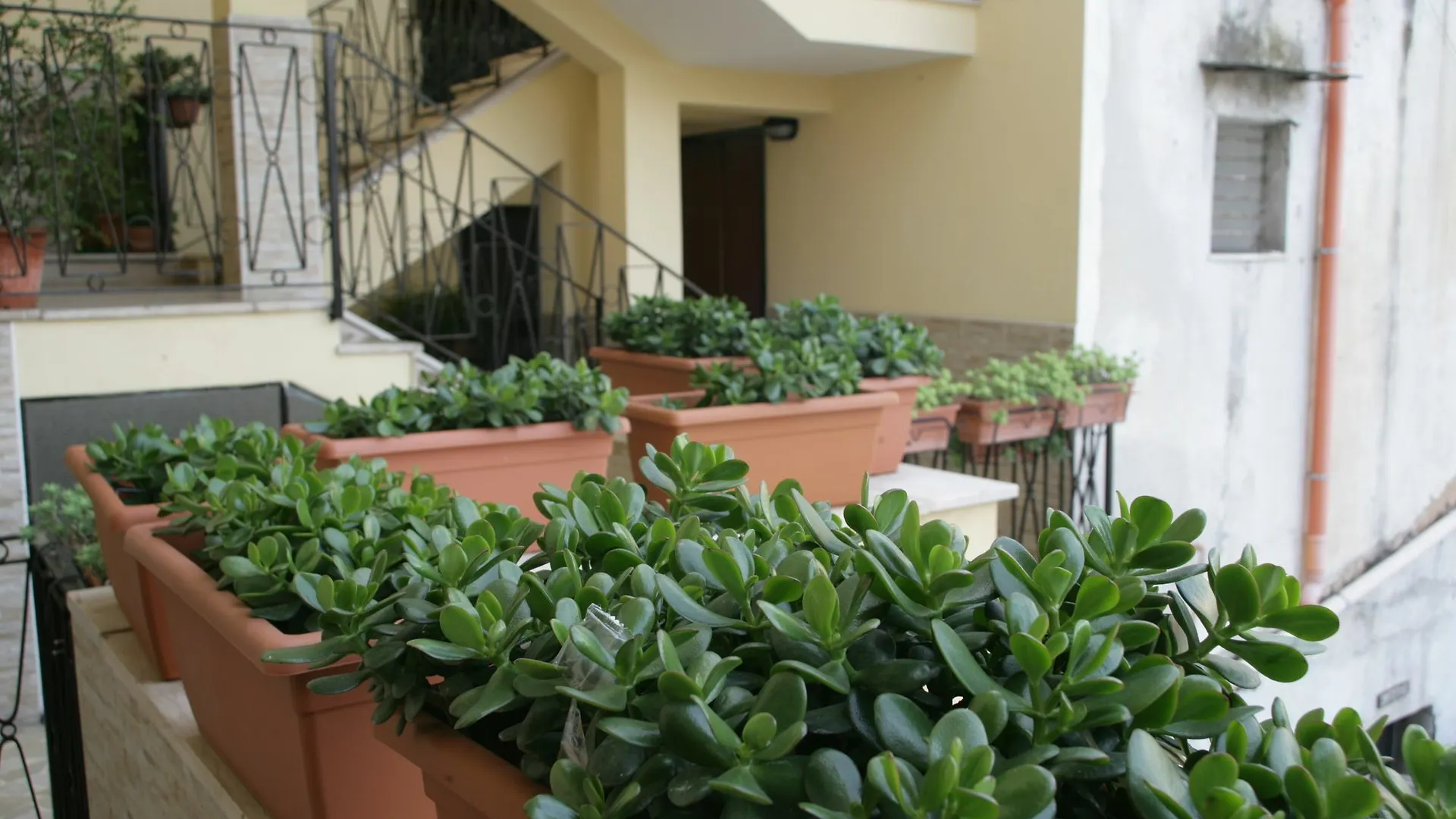 Apartament Casa Carmen Neapol Włochy